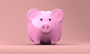 Piggy Bank PB