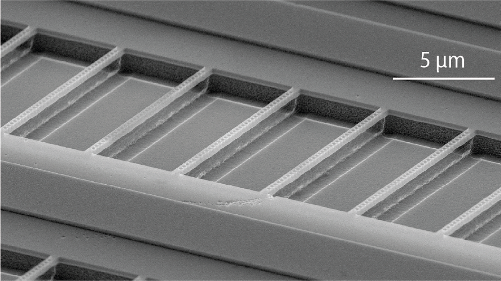 Scanning electron microscopy image of a nanofabricated silicon carbide device engineered to capture and amplify single photons from embedded quantum states within the material. (Image by Alex Crook, University of Chicago.)