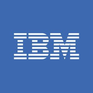 IBM Logo BIG BLUE Box