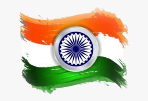 India Flag Brush