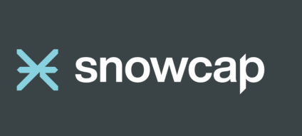 snowcap LOGO dk grey